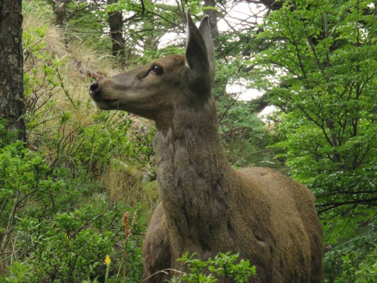 25593873_1656225467732156_4641792957274143737_n